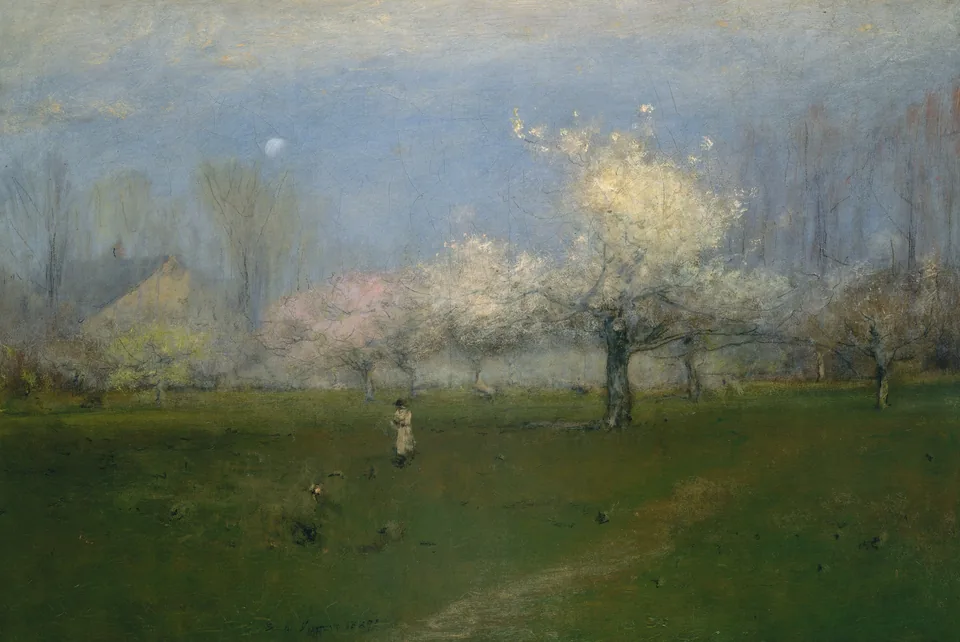 An orchard beneath a pale blue sky